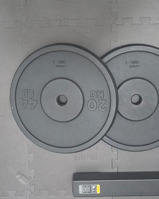 dischi ghisa 20 kg 