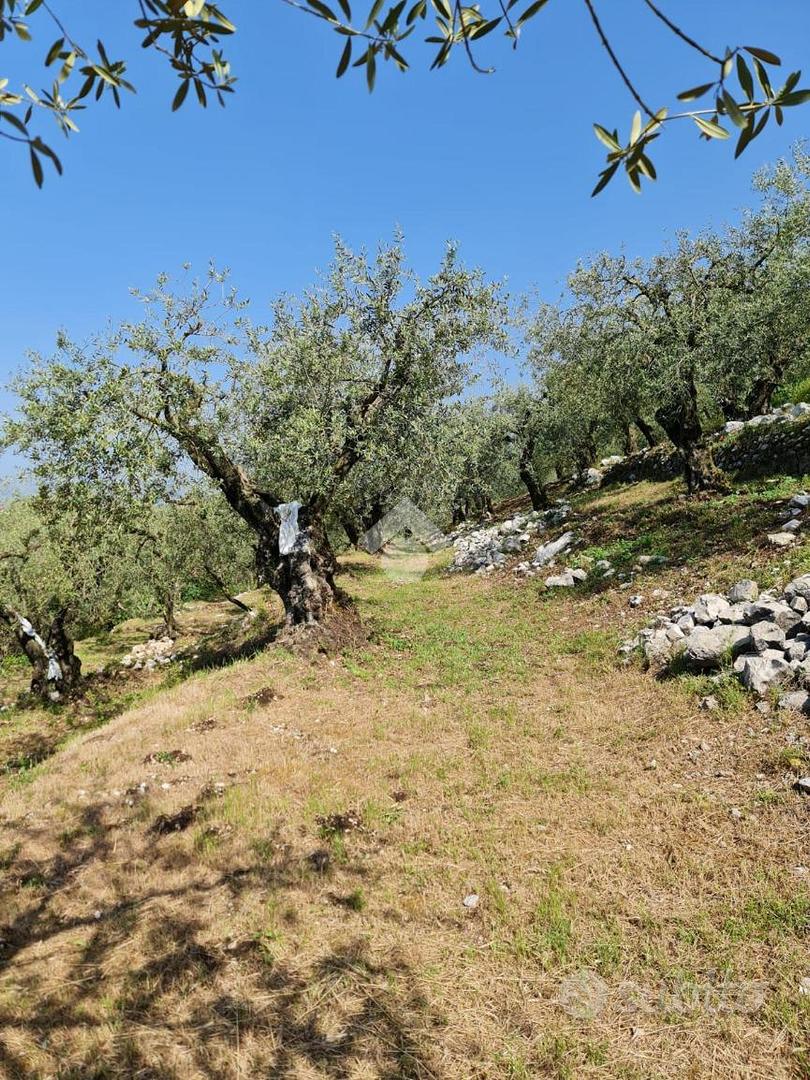 TER. AGRICOLO A SANT'AGATA DE' GOTI - Altro