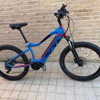 Bici elettrica
