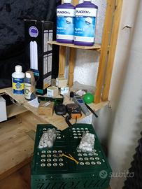 lampada growbox idroponica