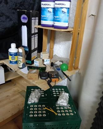 lampada growbox idroponica
