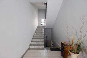 Appartamento 6 vani + giardino