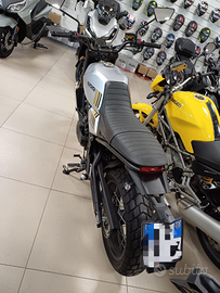 Brixton 500 X Crossfire