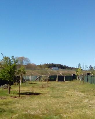 terreno agricolo 