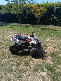 mini quad 