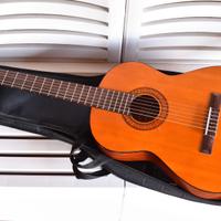 Chitarra Classica Walden N-310