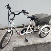 Triciclo per adulti elettrico