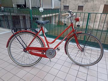 Bici passeggio 26