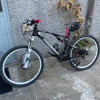 Bici enduro/xc msc koncept full carbon