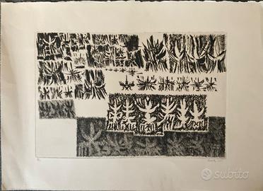 Riccardo Licata 1956