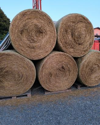 10 rotoli di paglia