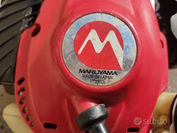 TAGLIA SIEPE A SCOPPIO