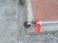 Immagine 6