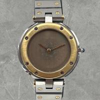 Cartier Santos Ronde Ghost Dial oro e Acciaio