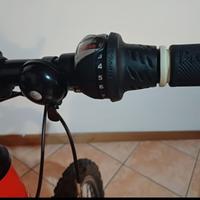 Bicicletta nuova bimbo