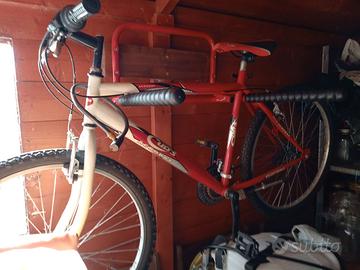 BICI MOUNTAIN  BIKE
