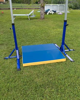 parallele ginnastica artistica 