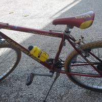 Bici Mtb misura 26