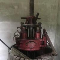 Antico Torchio bosello