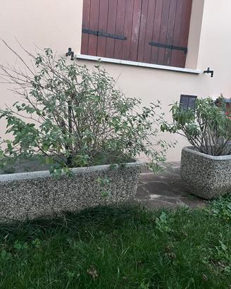 Vasi in cemento