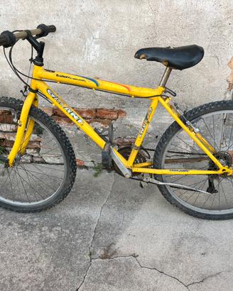 Bici mountain bike