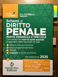 Schemi di diritto penale - NLD