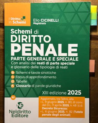 Schemi di diritto penale - NLD