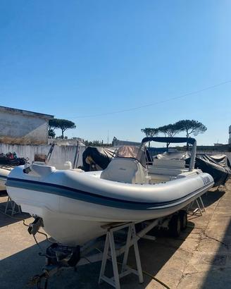 2010 ALSON 780 - mercruiser 260 cv