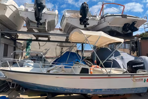 BOSTON WHALER 15