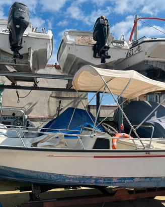 BOSTON WHALER 15