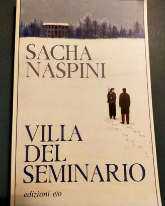 VILLA DEL SEMINARIO di Sacha Naspini libro