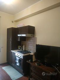 Trlilocale ristrutturato nel verde