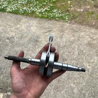 albero athena spalle piene