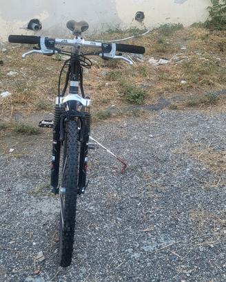 bicicletta 