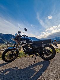 Mash Seventy Five 125