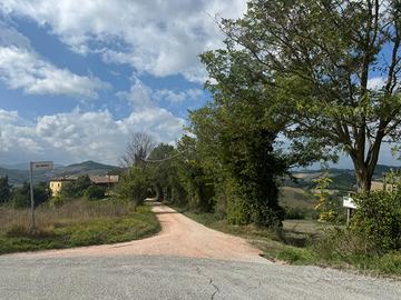 Appartamento in campagna a 700 euro mese