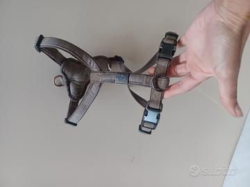 Pettorina collare per cani taglia M MORE