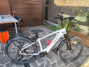 Bicicletta assistita 