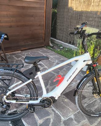 Bicicletta assistita 