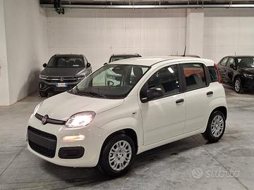 Fiat Panda 1.0 FireFly Hybrid 70CV Icon Km.0 (296)