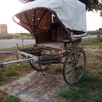 Calesse