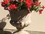 Immagine 25
