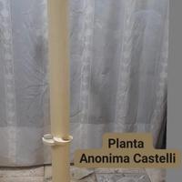 appendiabiti Anonima Castelli  mod Planta firmato