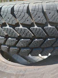 Pneumatici neve cargo