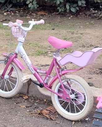 bicicletta bambina 2-6 anni