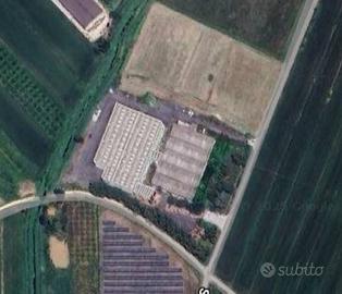 Locale commerciale - Suvereto