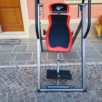 Delux inversion table 