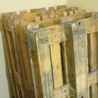 12 pallet di legno come in foto.