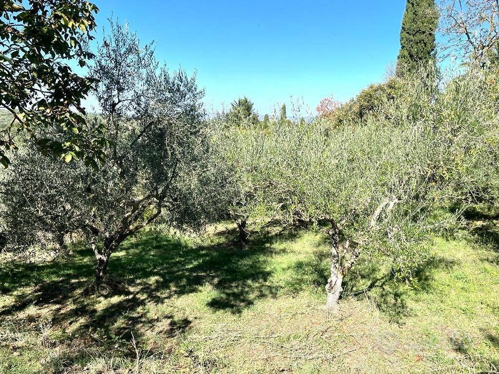 Terreno di 3500 m² a Viterbo - Vista 2