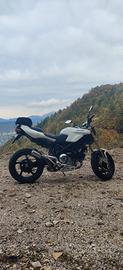 Ducati Multistrada 1000 DS